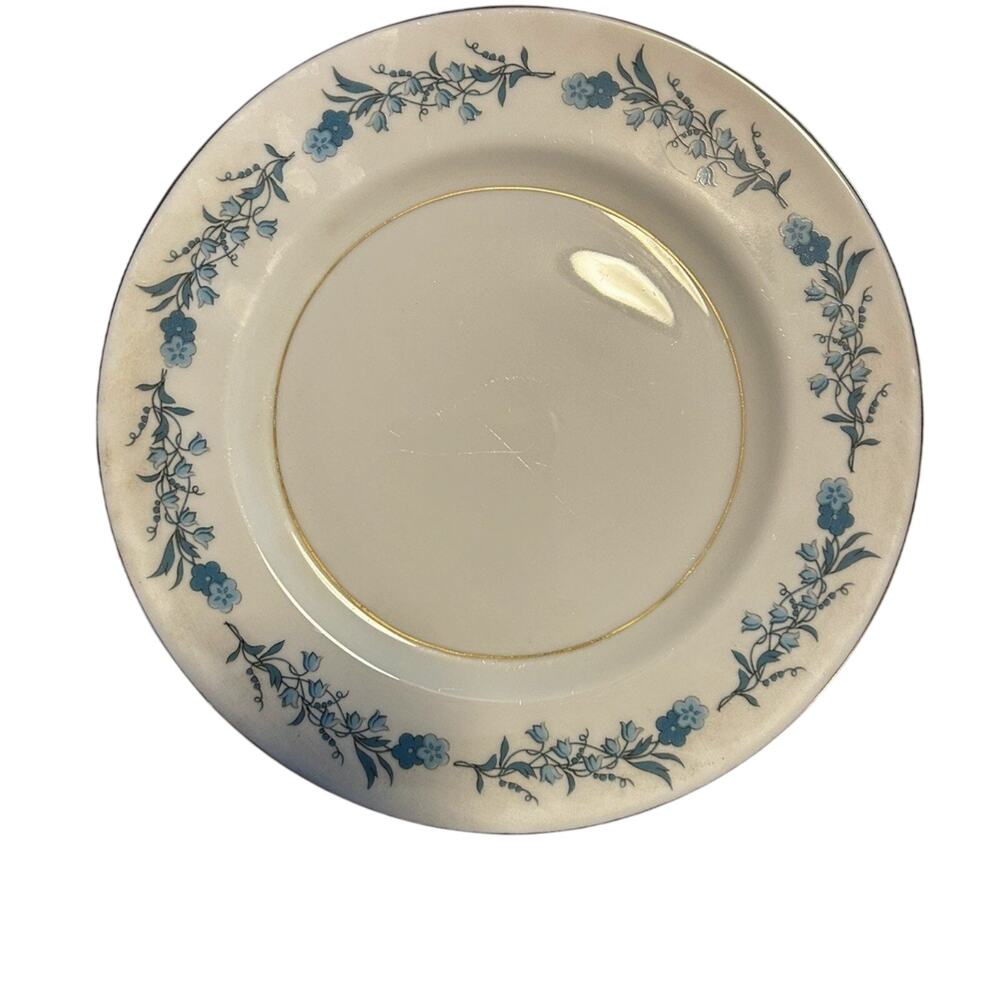 Theodore Haviland New York, Clinton, Set Of 6 Salad/Dessert Plates, 8 1/2”